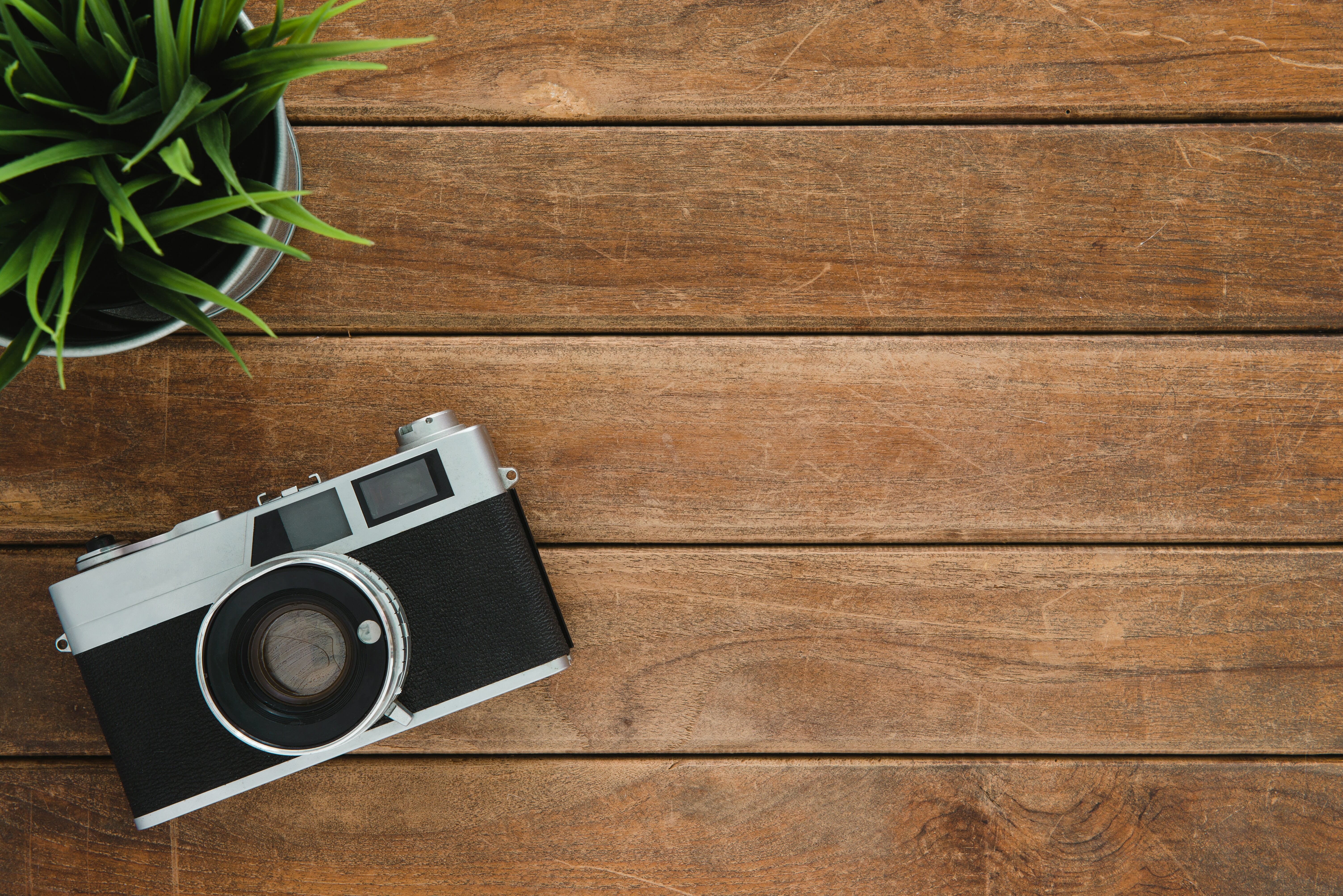 antique-backdrop-background-733853